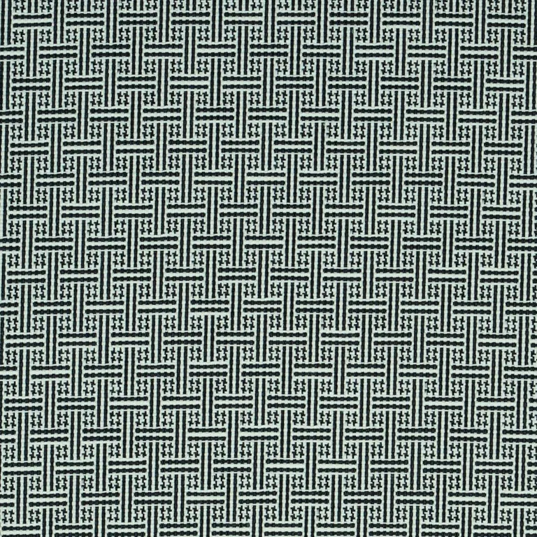 Schumacher 75935 Brickell Indoor/Outdoor Black fabric swatch