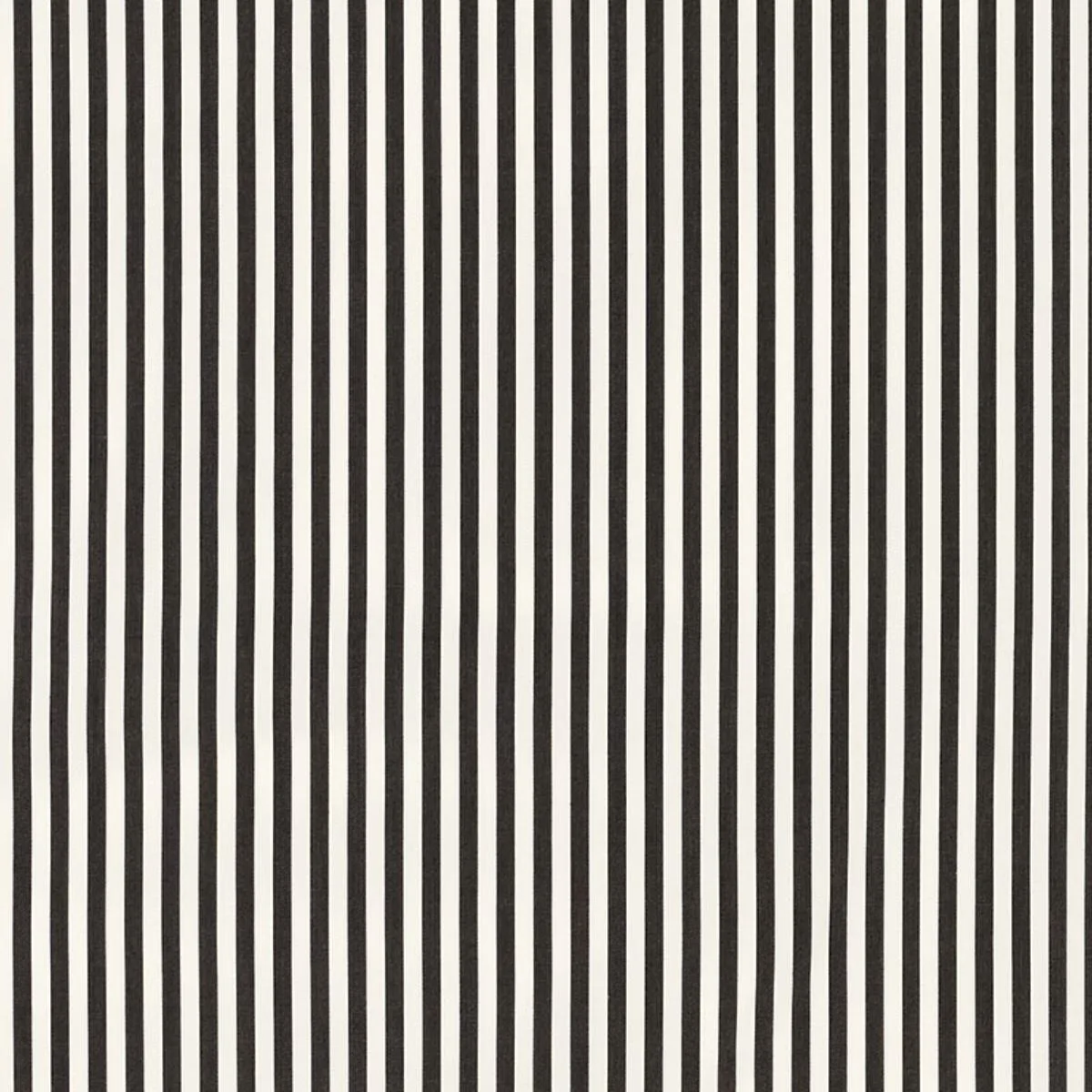 Schumacher 71340 Brigitte Stripe Black fabric swatch