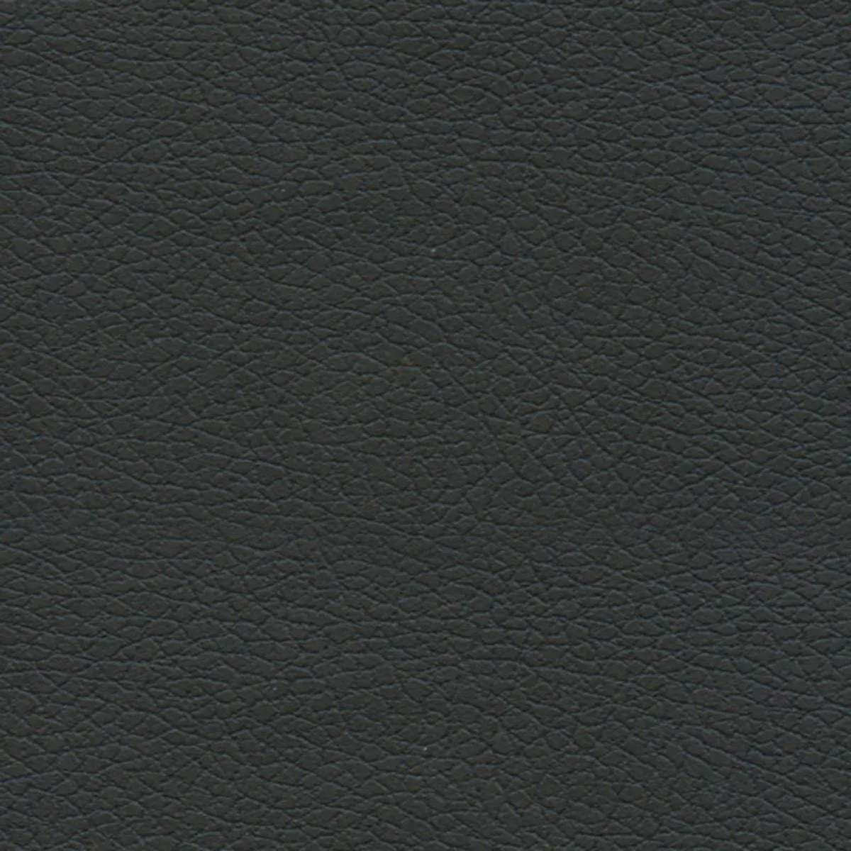 Schumacher 303-5749 Brisa Black Onyx fabric swatch