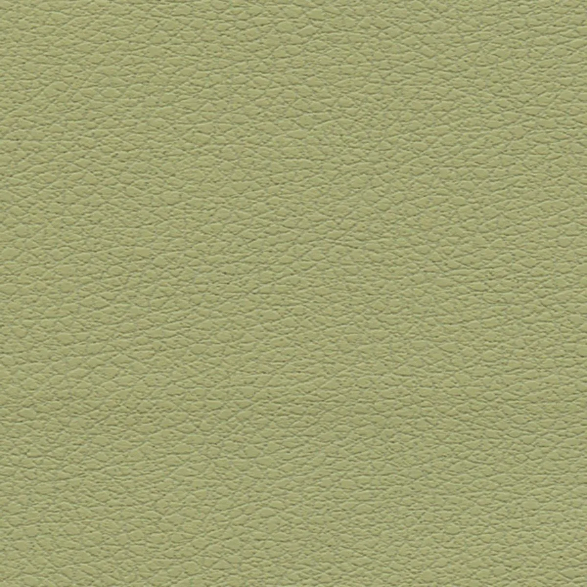 Schumacher 303-4510 Brisa Celery fabric swatch