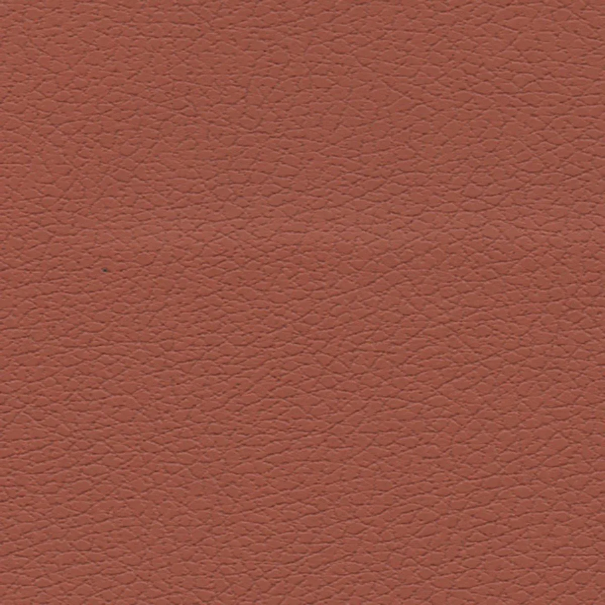 Schumacher 303-8245 Brisa Cinnabar fabric swatch