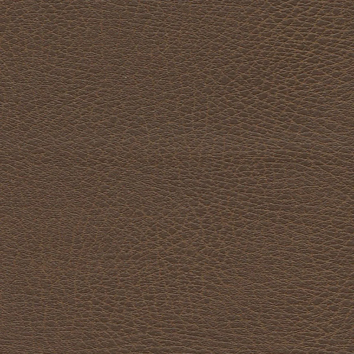 Schumacher 335-3976 Brisa Distressed Bridle fabric swatch