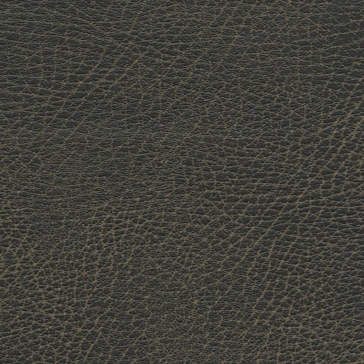 Schumacher 335-3974 Brisa Distressed Steerhide fabric swatch