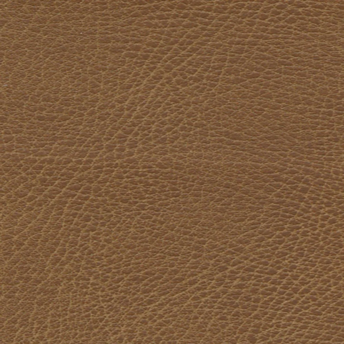 Schumacher 335-3980 Brisa Distressed Waylan fabric swatch
