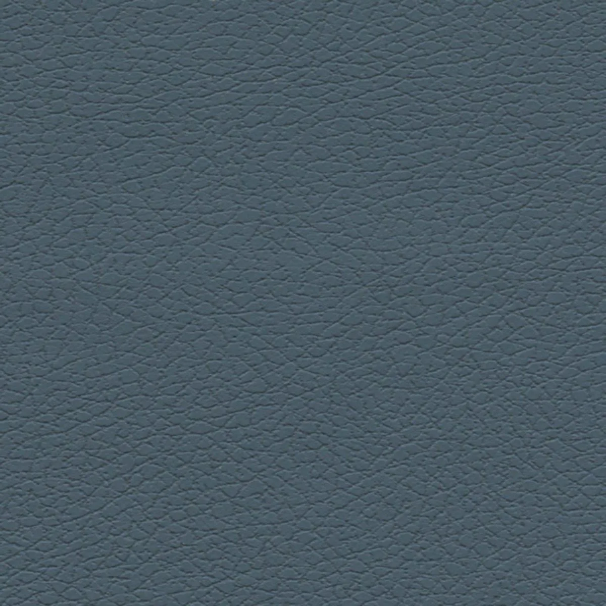 Schumacher 303-2645 Brisa Federal fabric swatch