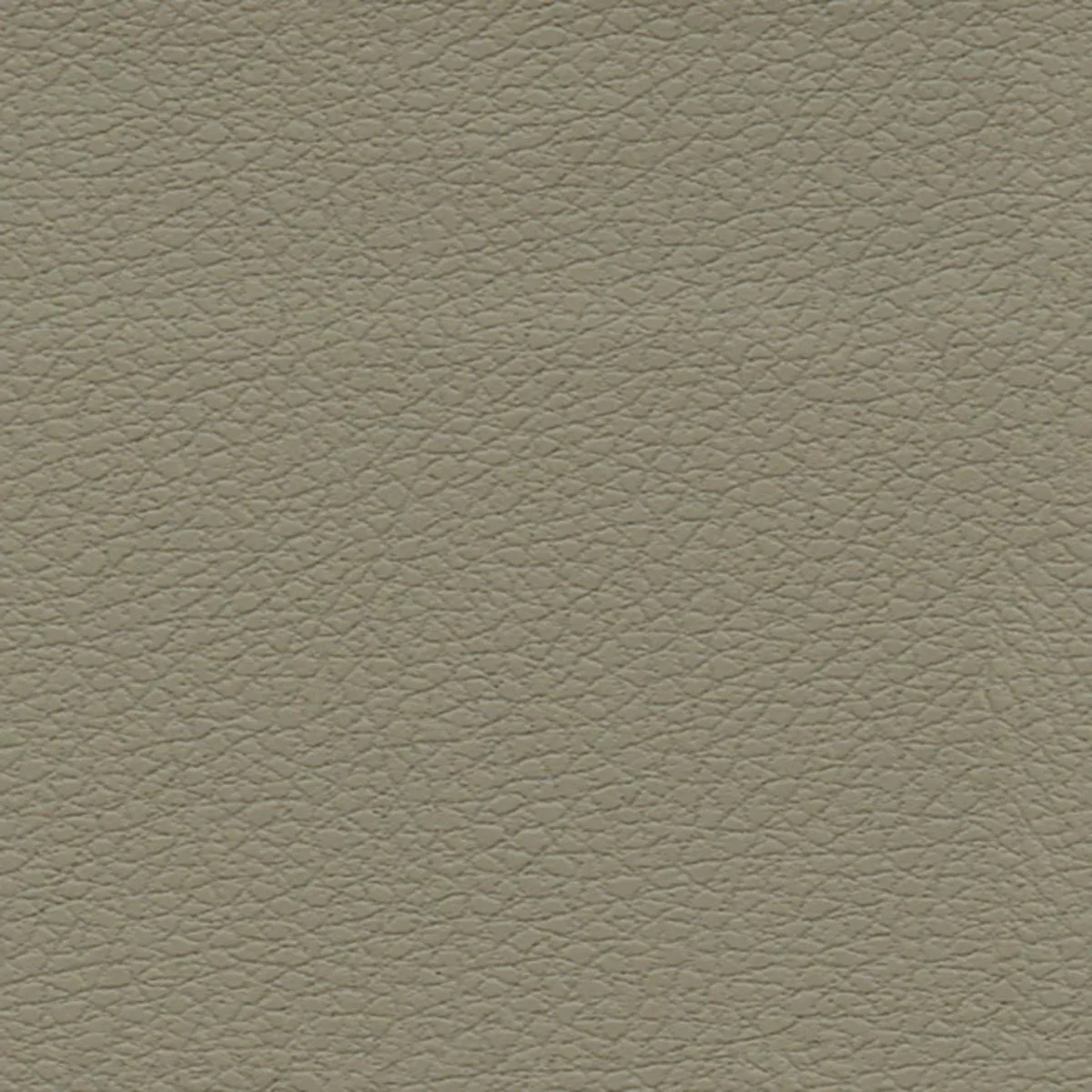Schumacher 303-3915 Brisa Fedora fabric swatch