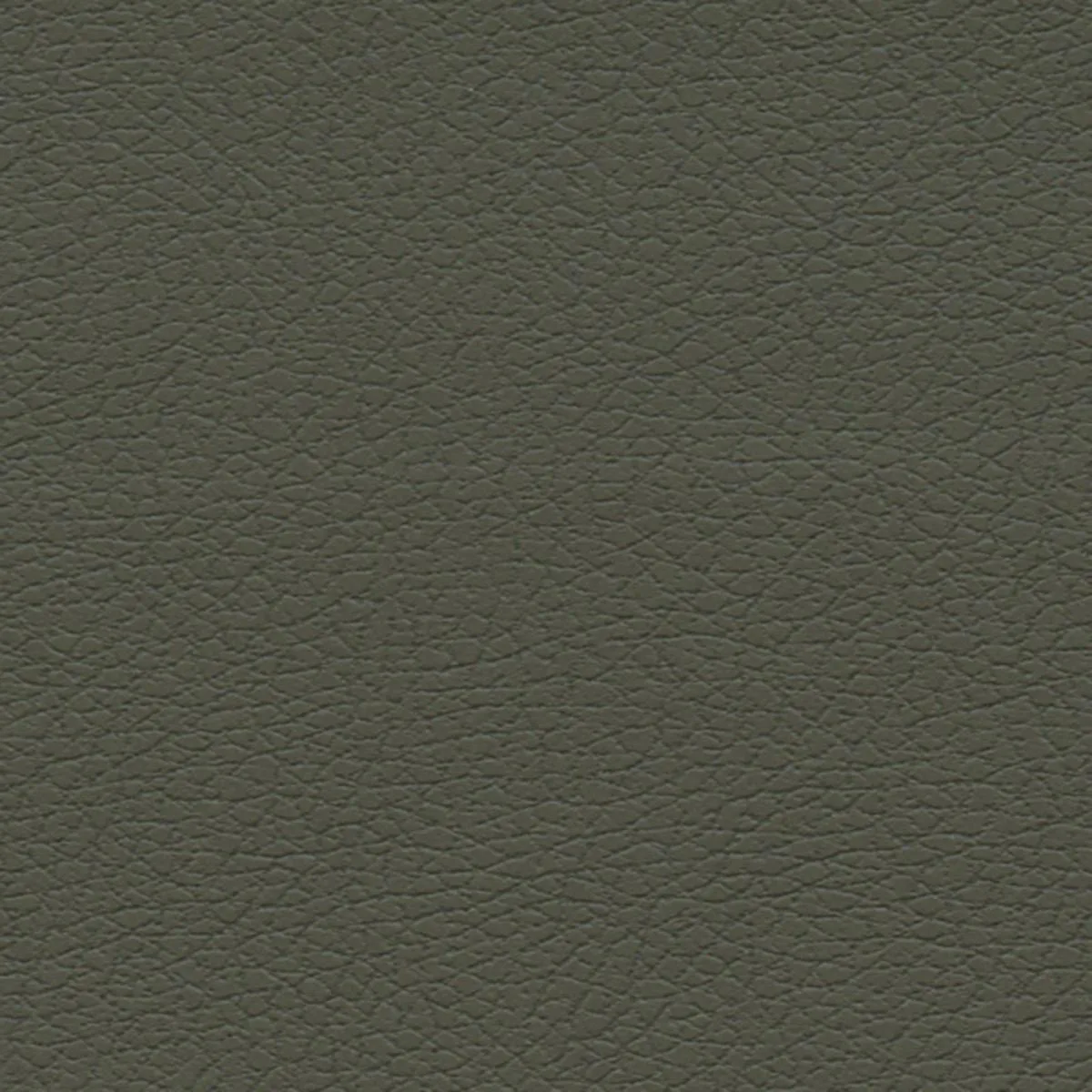 Schumacher 303-4488 Brisa Olive fabric swatch
