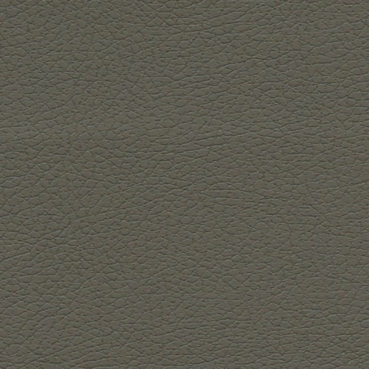 Schumacher 303-3022 Brisa Shitake fabric swatch