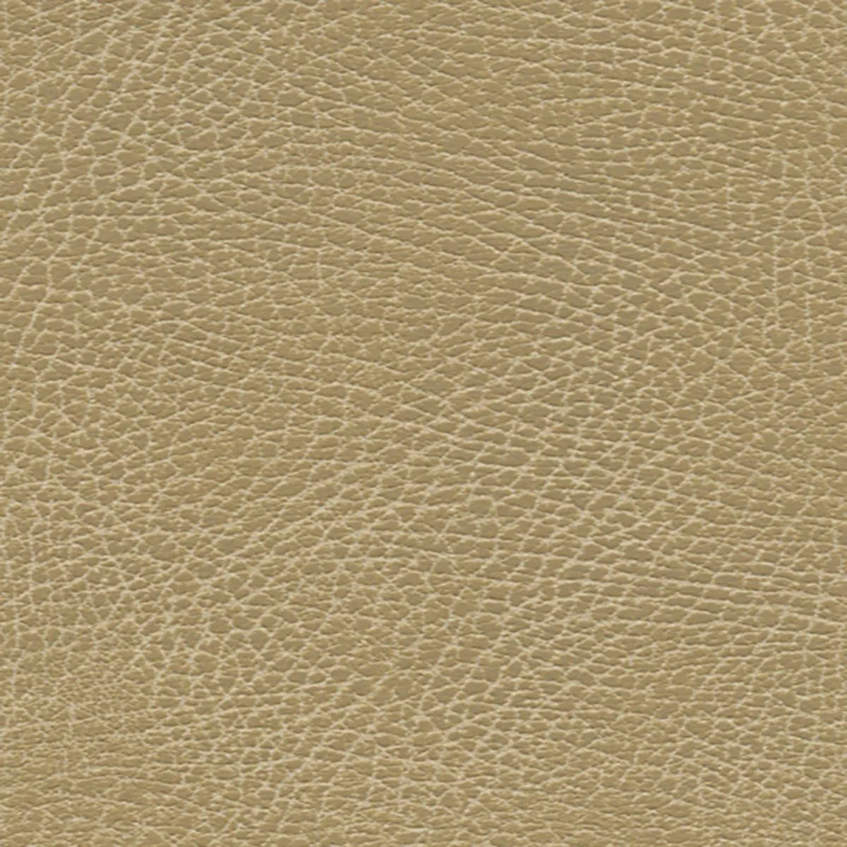 Schumacher 396-3134 Brisa Soleil Distressed Bucks fabric swatch