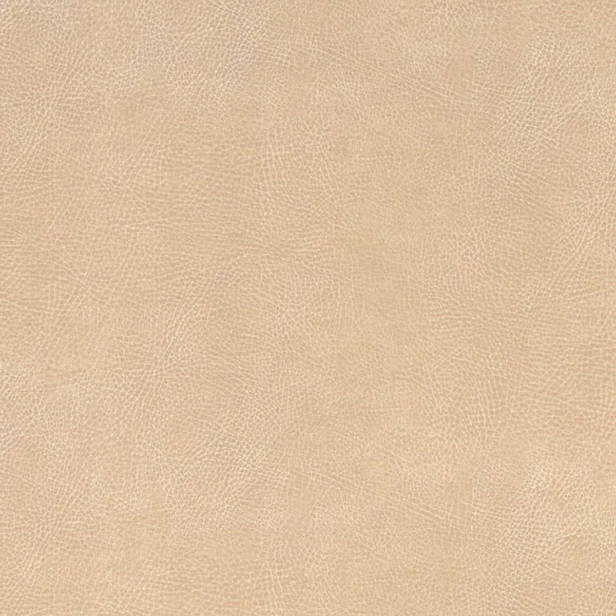 Schumacher 396-3024 Brisa Soleil Distressed Chamois fabric swatch