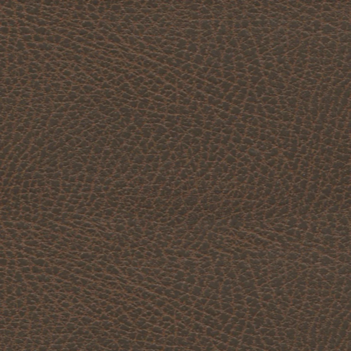 Schumacher 396-3970 Brisa Soleil Distressed Chaps fabric swatch