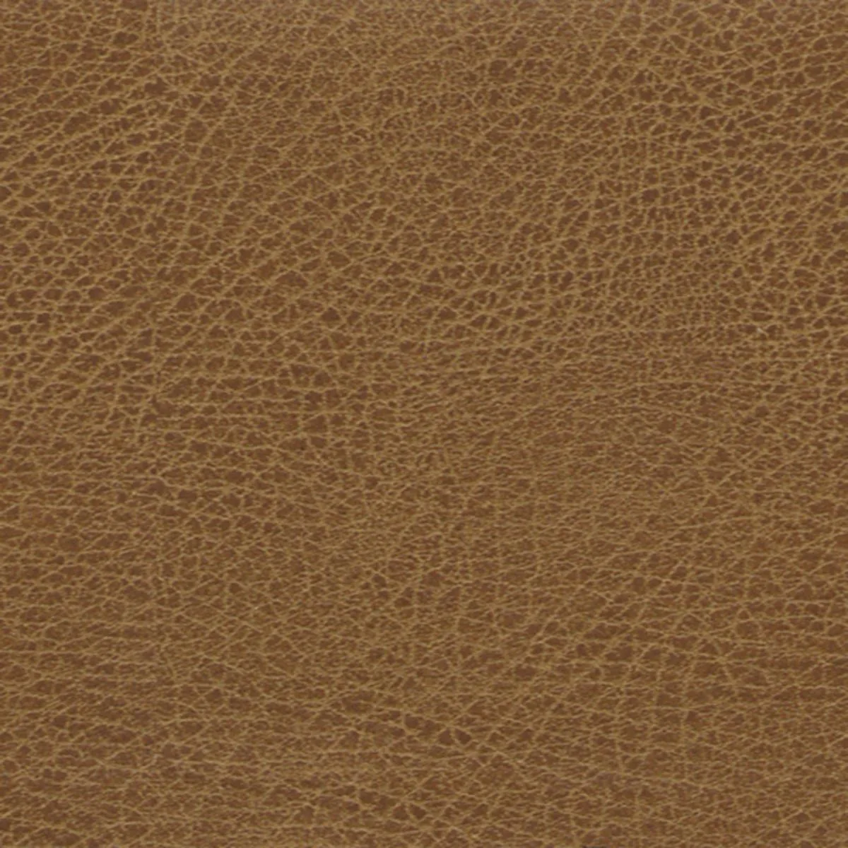 Schumacher 396-3980 Brisa Soleil Distressed Saddle fabric swatch