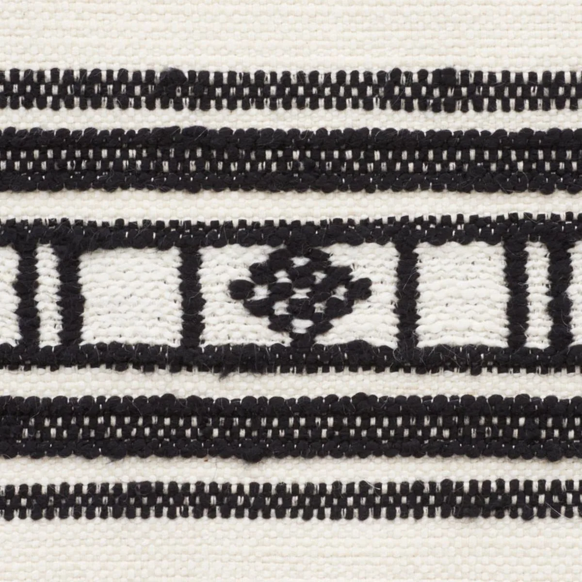 Schumacher 74481 Buena Vista Black fabric swatch