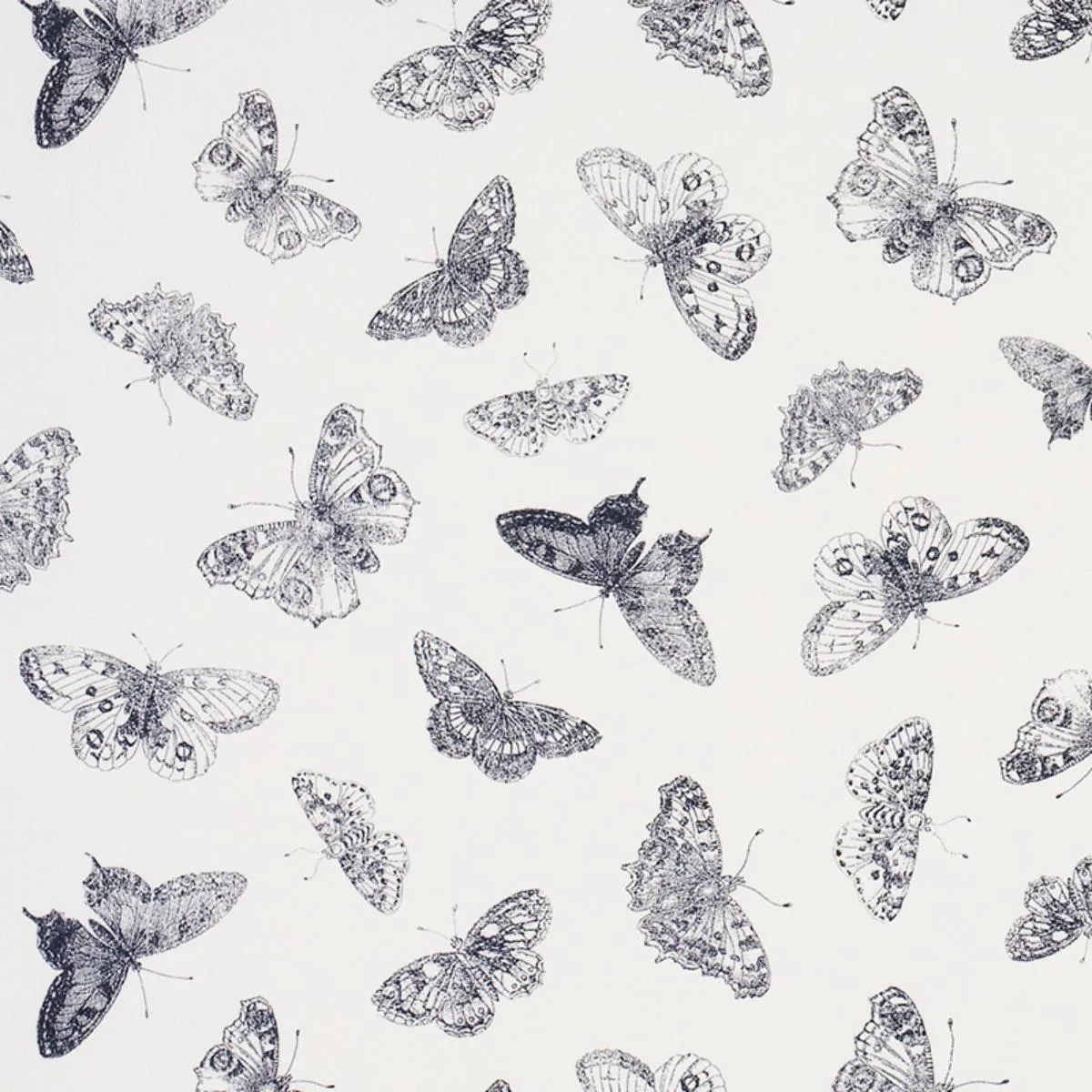 Schumacher 179430 Burnell Butterfly Black fabric swatch