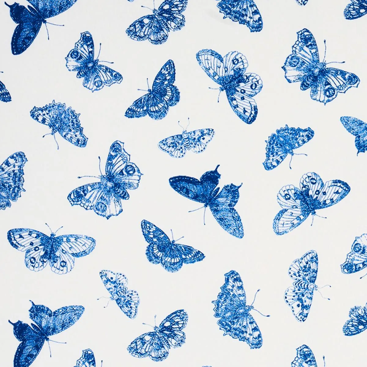Schumacher 179432 Burnell Butterfly Blue fabric swatch