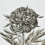 Schumacher 178751 Cabot Botanical Ivory fabric swatch