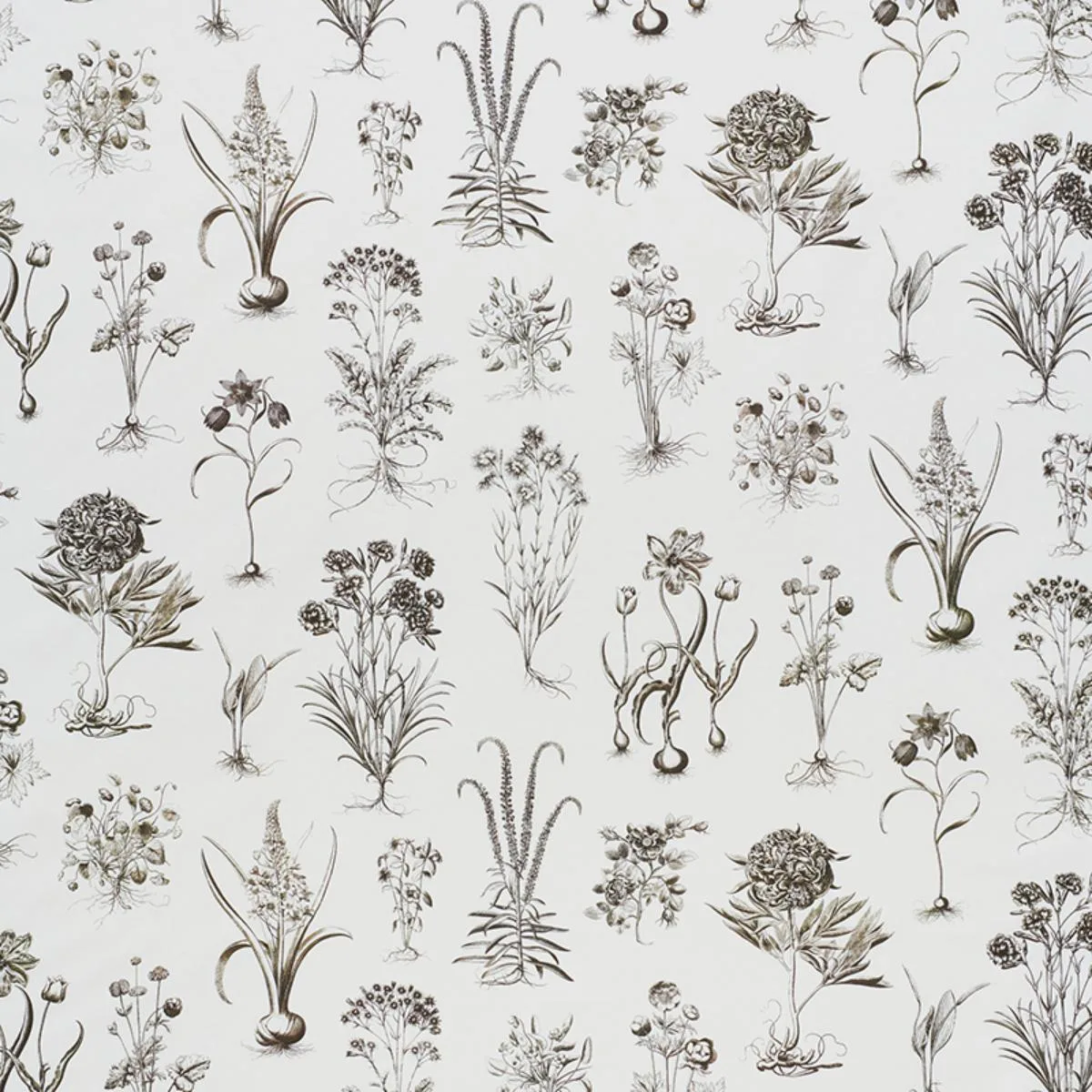 Schumacher 178751 Cabot Botanical Ivory fabric swatch