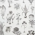 Schumacher 178740 Cabot Botanical Large Ivory fabric swatch