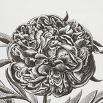 Schumacher 178740 Cabot Botanical Large Ivory fabric swatch