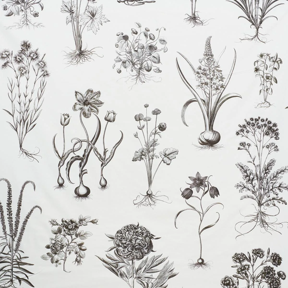 Schumacher 178740 Cabot Botanical Large Ivory fabric swatch