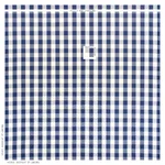 Schumacher 63043 Camden Cotton Check Navy fabric swatch