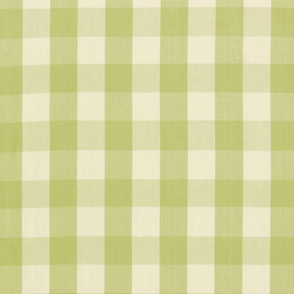 Schumacher 63036 Camden Cotton Check Sage fabric swatch
