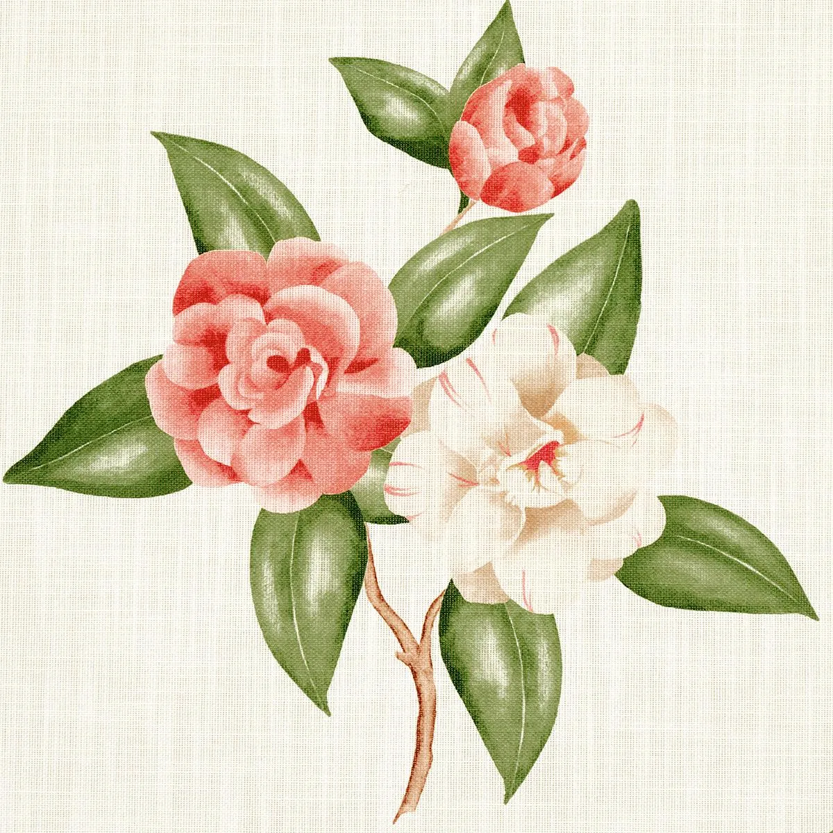 Schumacher 180911 Casablanca Floral Indoor/Outdoor Coral fabric swatch