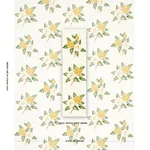 Schumacher 180912 Casablanca Floral Indoor/Outdoor Pale Yellow fabric swatch