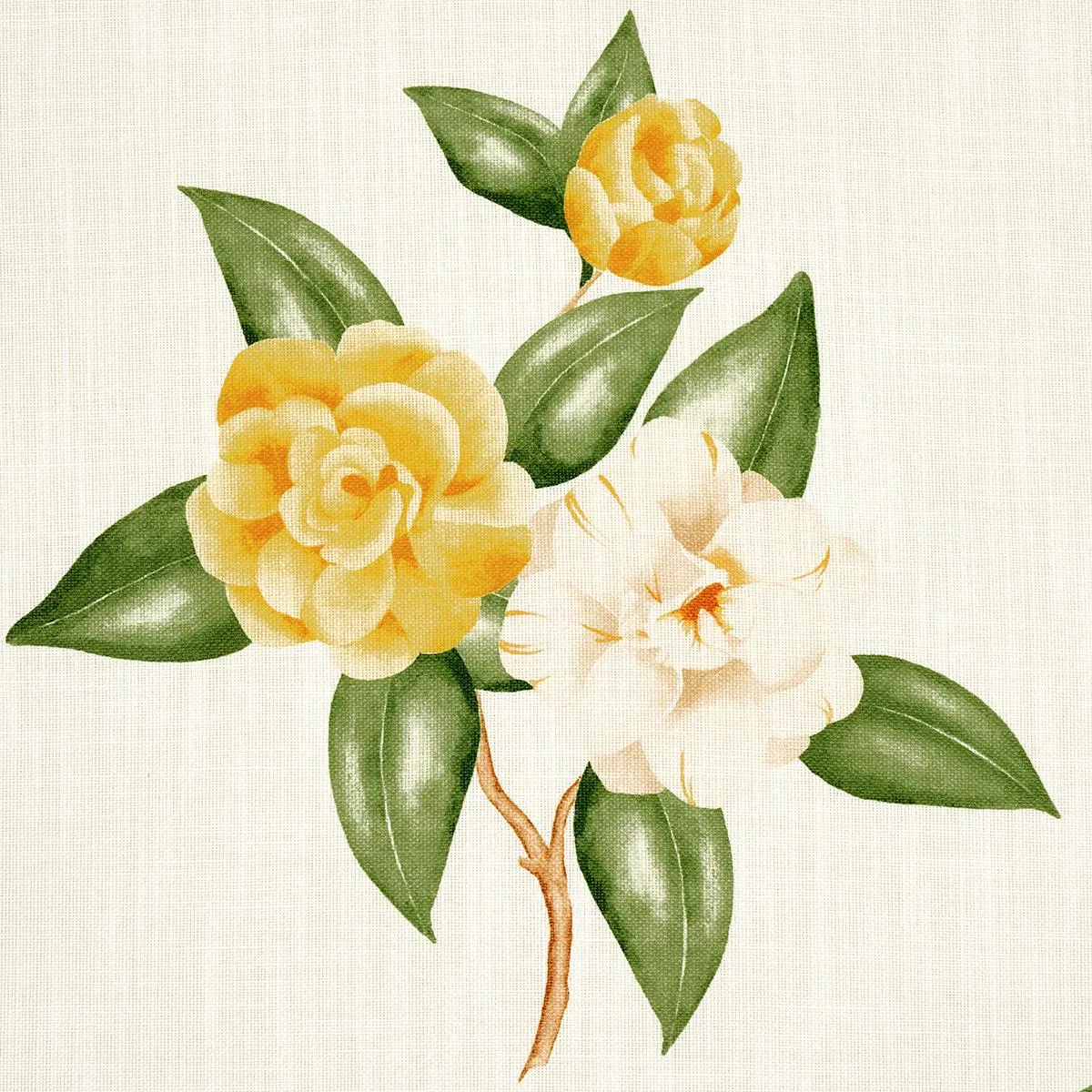 Schumacher 180912 Casablanca Floral Indoor/Outdoor Pale Yellow fabric swatch