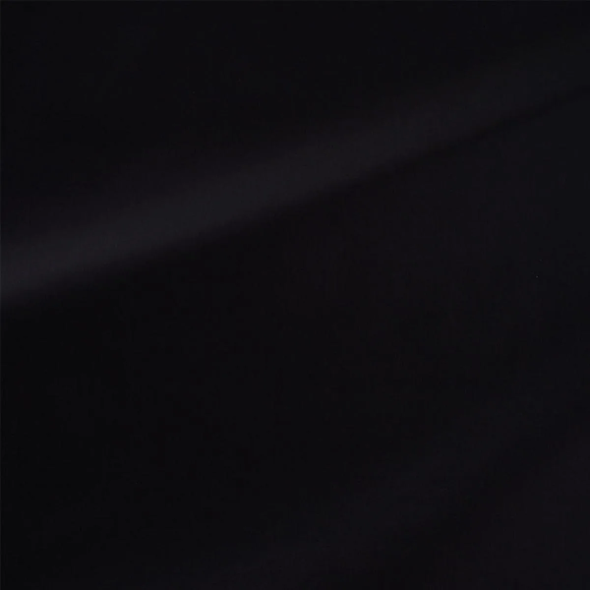Schumacher 76984 Cecil Cotton Chintz Black fabric swatch