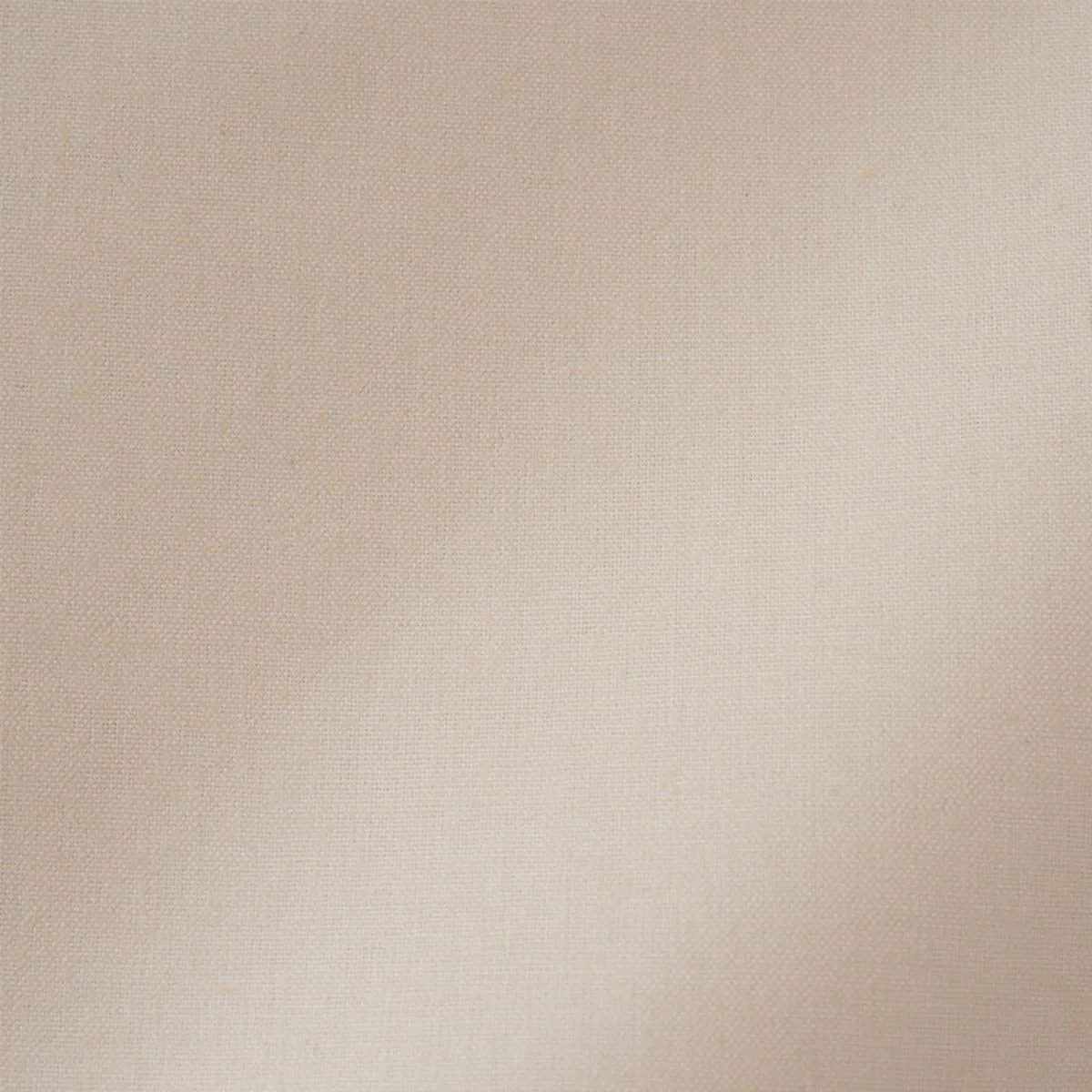 Schumacher 76981 Cecil Cotton Chintz Ecru fabric swatch