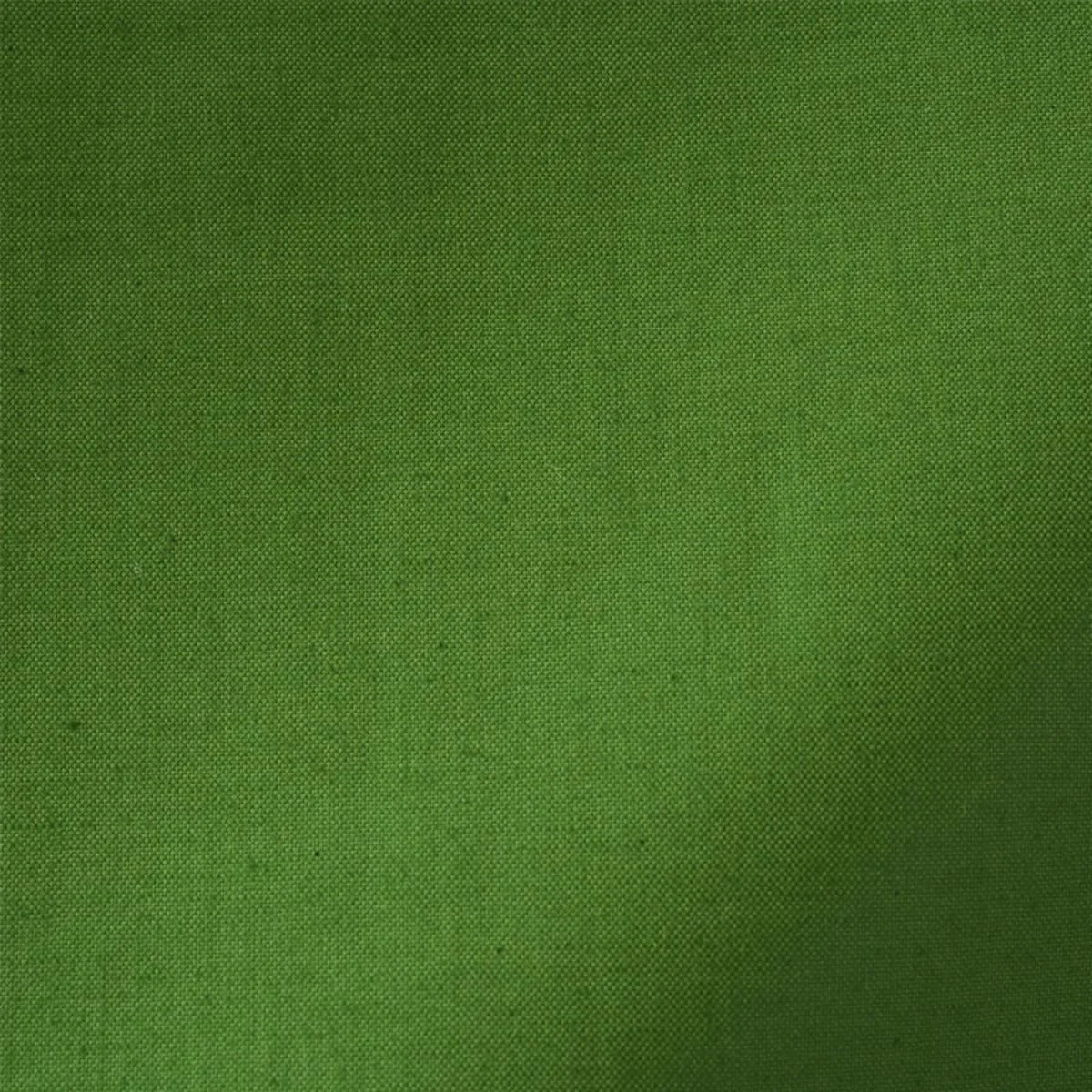 Schumacher 76989 Cecil Cotton Chintz Leaf fabric swatch