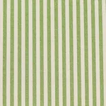Schumacher 60925 Charee Silk Stripe Green fabric swatch