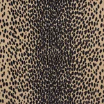 Schumacher 73913 Cheetah Velvet Ebony fabric swatch