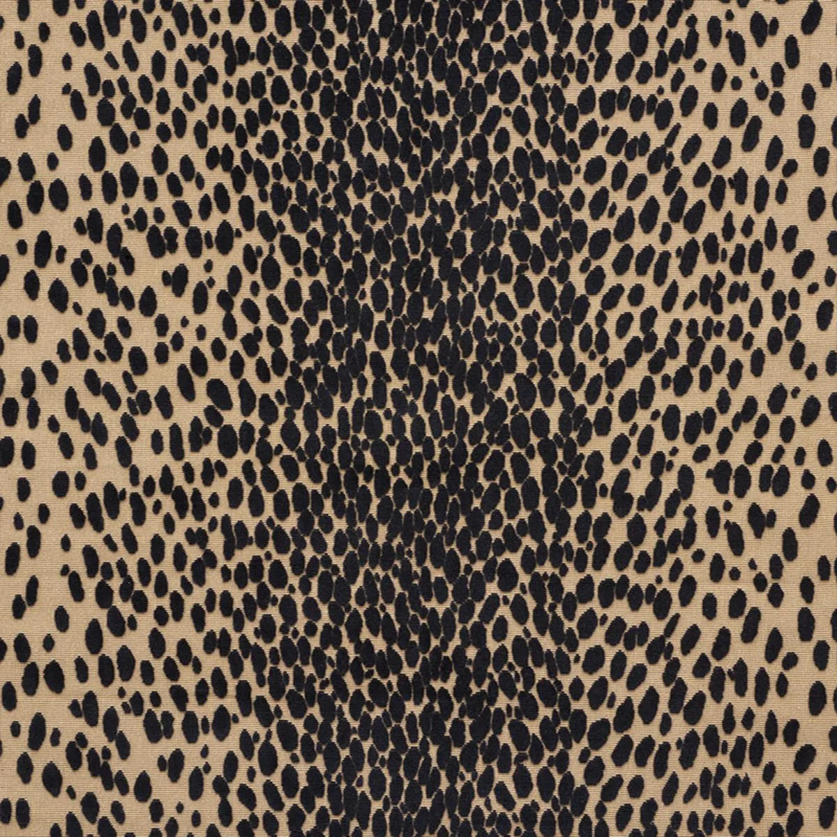 Schumacher 73913 Cheetah Velvet Ebony fabric swatch