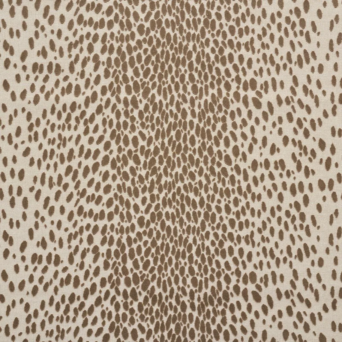 Schumacher 73911 Cheetah Velvet Natural fabric swatch