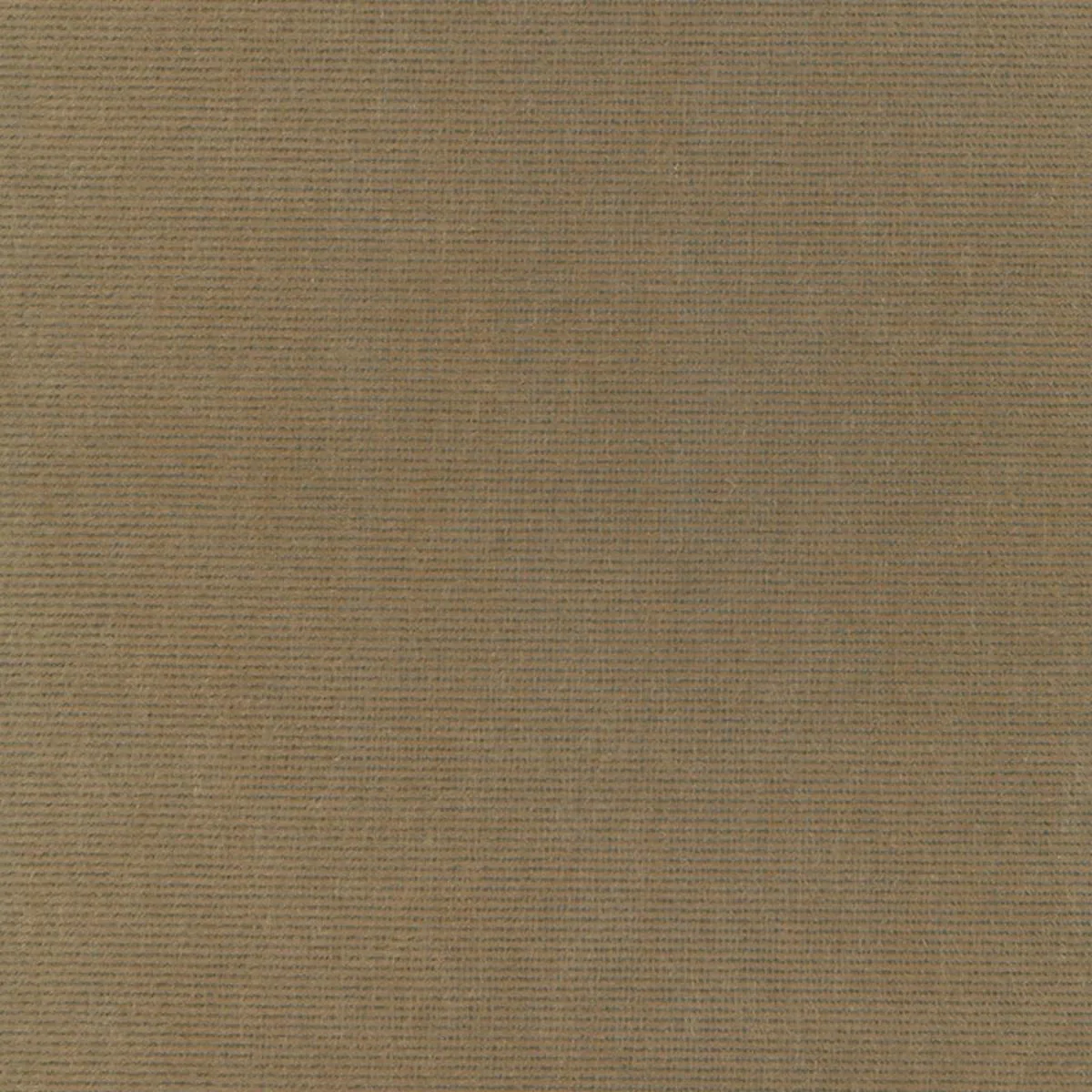 Schumacher 54885 Chiaroscuro Velvet Mink fabric swatch