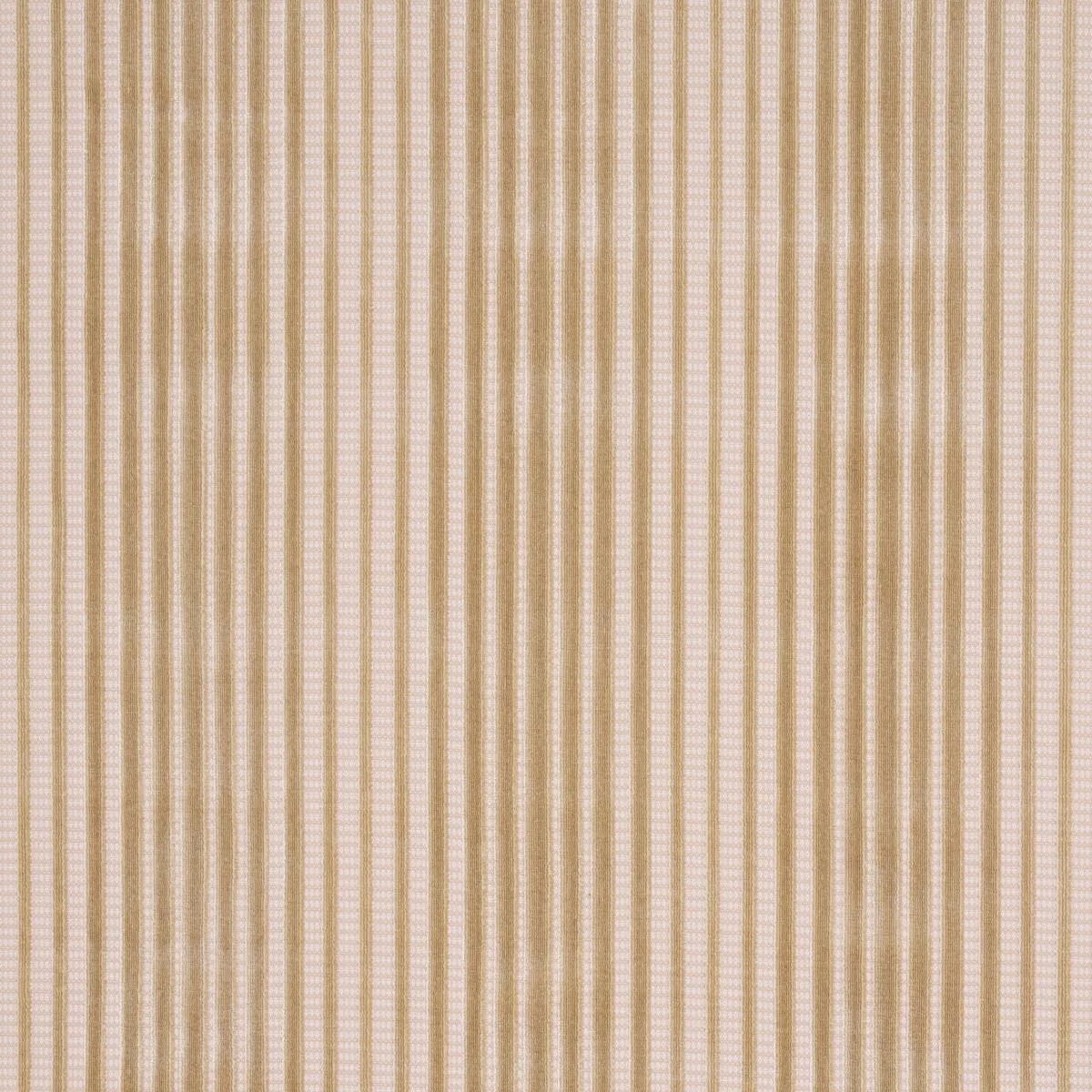 Schumacher 82153 Chimay Stripe Velvet Champagne fabric swatch