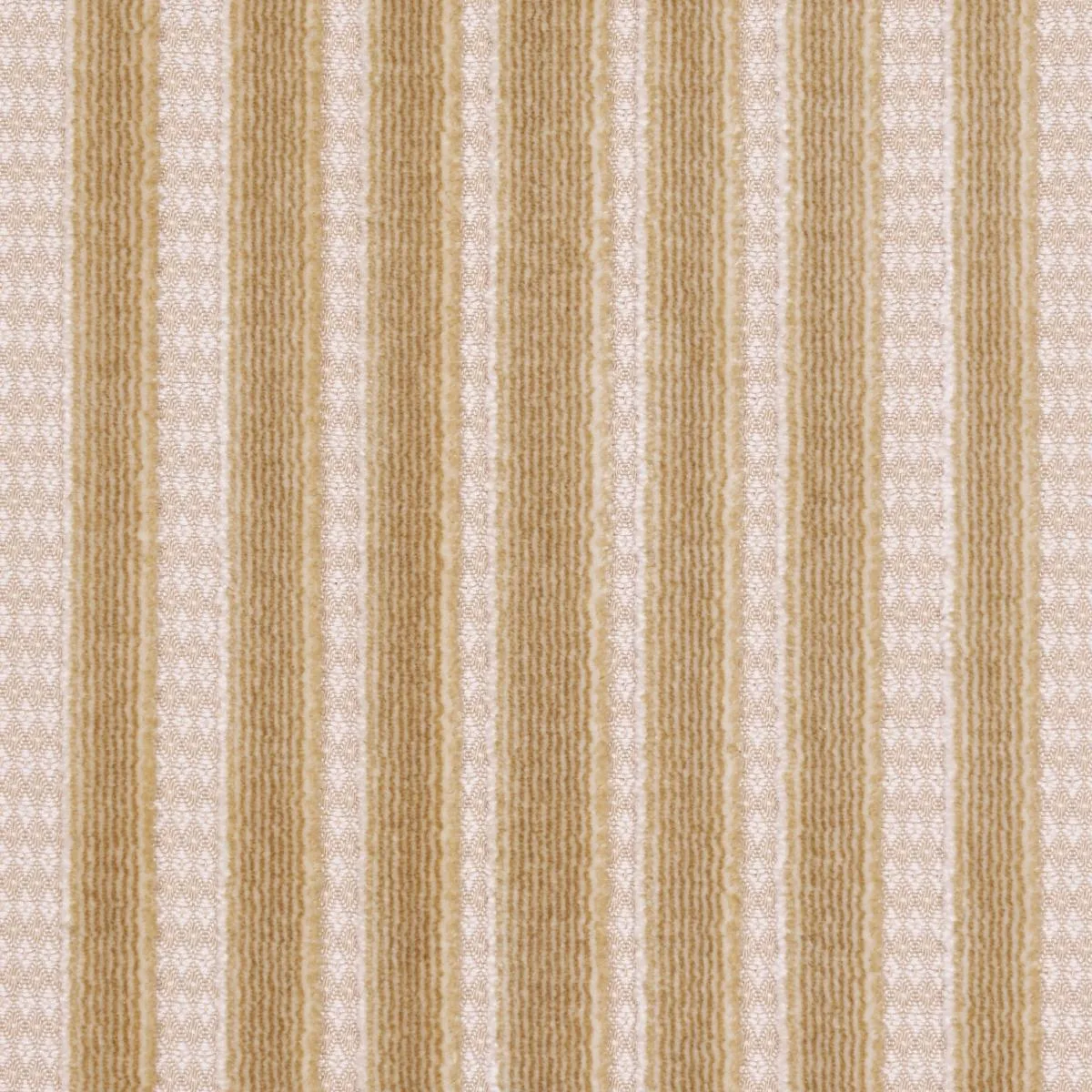 Schumacher 82153 Chimay Stripe Velvet Champagne fabric swatch