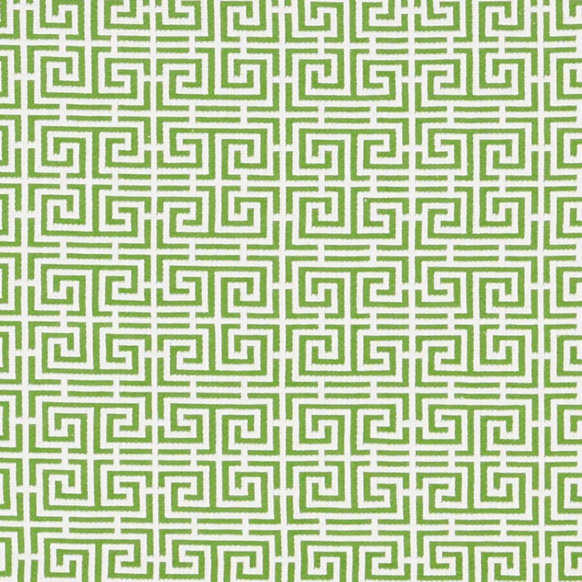 Schumacher 70562 Chinois Fret Green/White fabric swatch