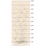 Schumacher 175041 Chinois Palais Blush Conch fabric swatch