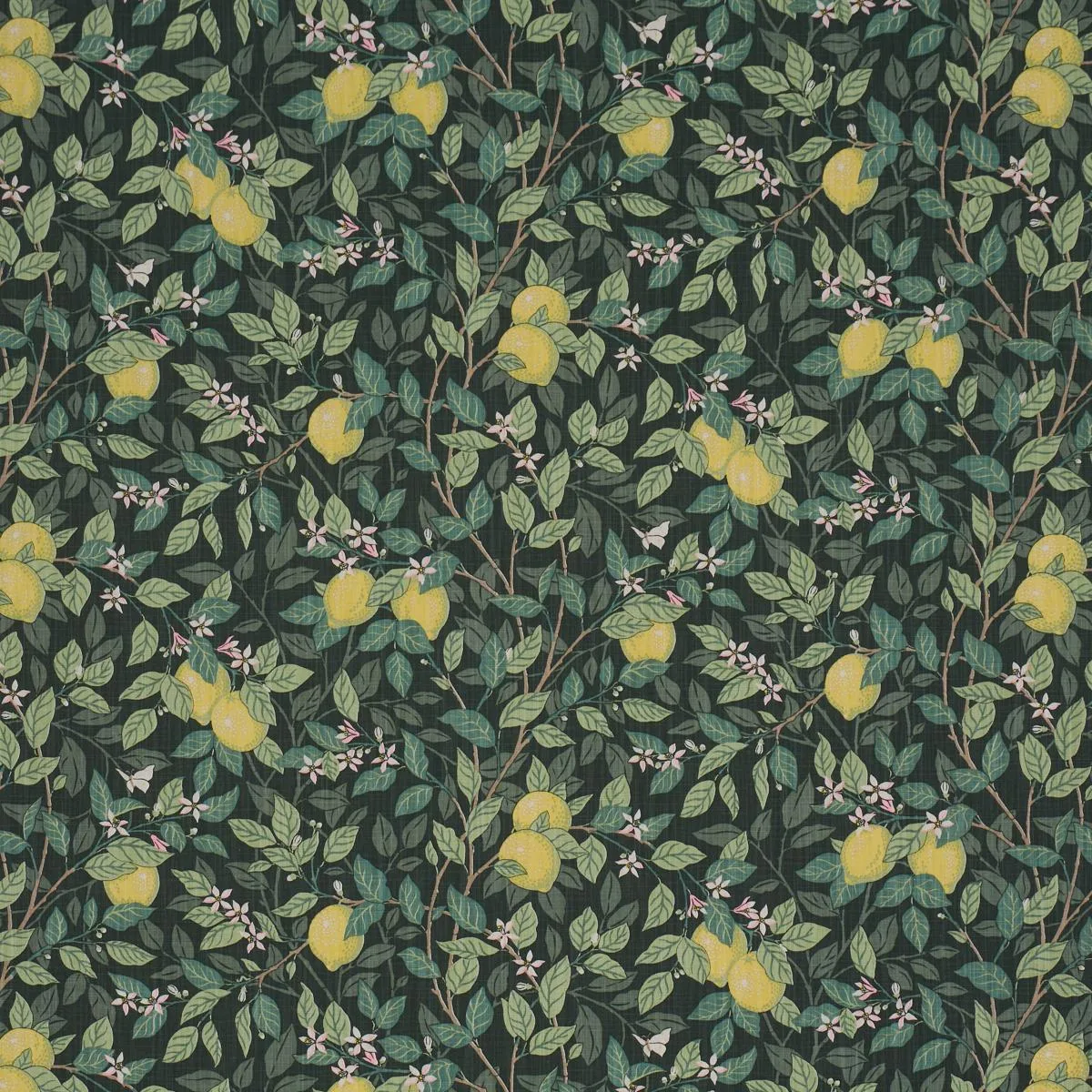 Schumacher 182951 CitronträD Green fabric swatch