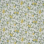 Schumacher 182950 CitronträD Ivory And Leaf fabric swatch
