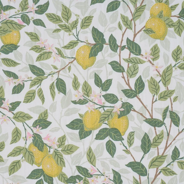 Schumacher 182950 CitronträD Ivory And Leaf fabric swatch