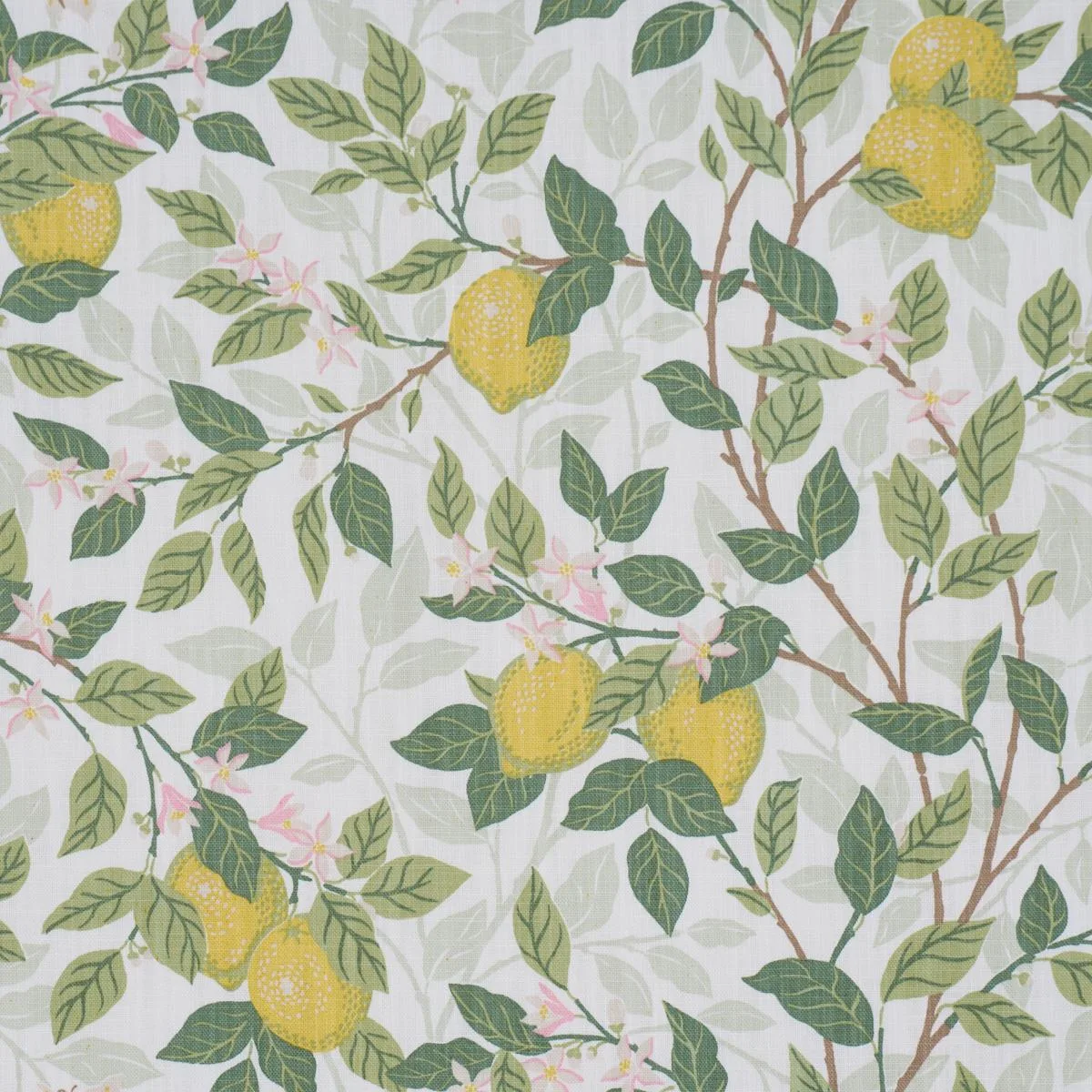 Schumacher 182950 CitronträD Ivory And Leaf fabric swatch