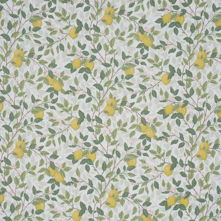 Schumacher 182950 CitronträD Ivory And Leaf fabric swatch