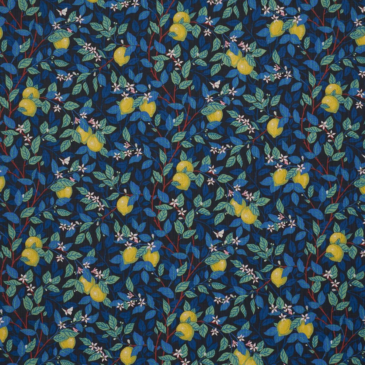 Schumacher 182952 CitronträD Spruce And Blue fabric swatch