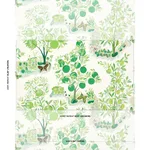 Schumacher 177332 Citrus Garden Indoor/Outdoor Leaf fabric swatch