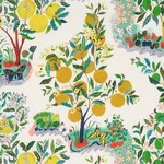 Schumacher 177330 Citrus Garden Indoor/Outdoor Primary fabric swatch