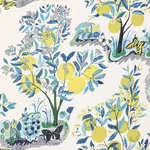 Schumacher 178351 Citrus Garden Sheer Pool fabric swatch